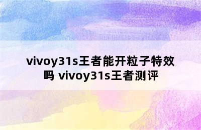 vivoy31s王者能开粒子特效吗 vivoy31s王者测评